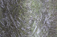 West Worthing fibreglass roof work